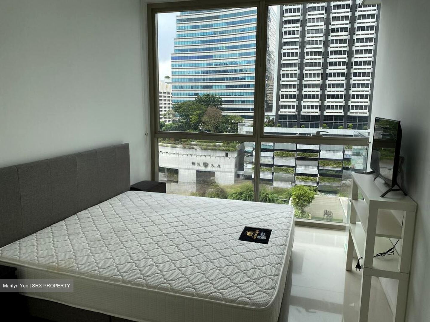 Scotts Square (D9), Apartment #466468161